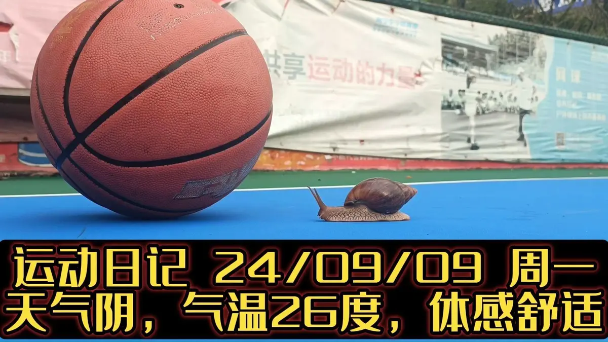 如何提高篮球罚球命中率?_0